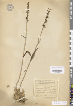 LE 01033229
