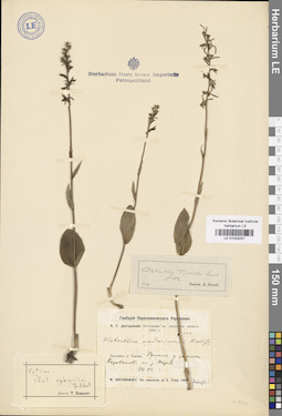 LE 01033247