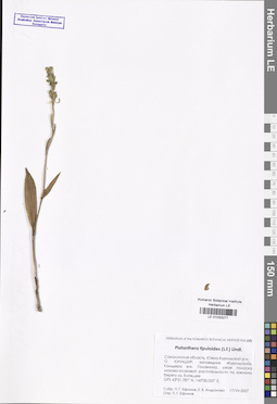LE 01033277
