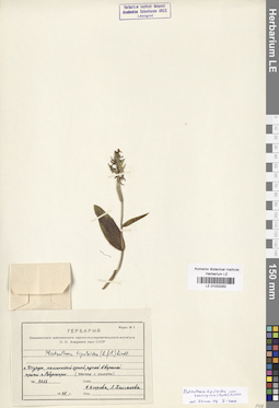LE 01033283