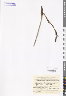 LE 01033285