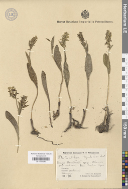 LE 01033292