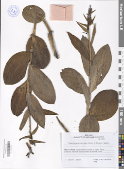 LE 01040707