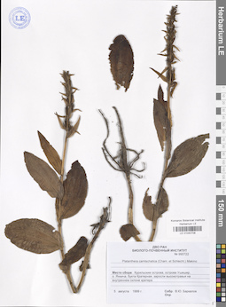 LE 01040708