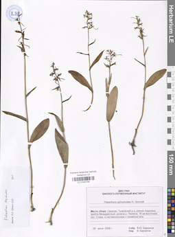 LE 01040748