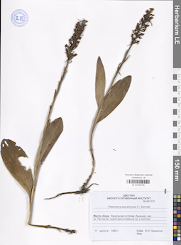 LE 01040749