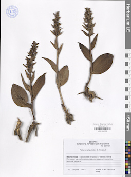 LE 01040752