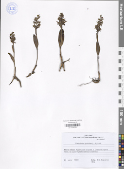 LE 01040757