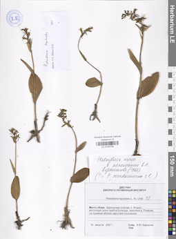 LE 01040758
