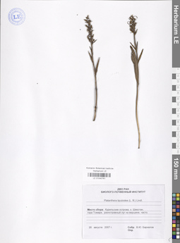 LE 01040761