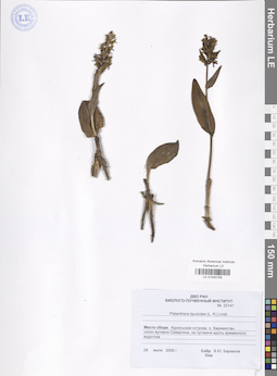 LE 01040763
