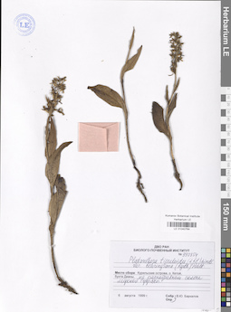 LE 01040764