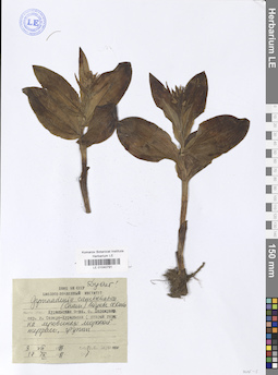 LE 01040791
