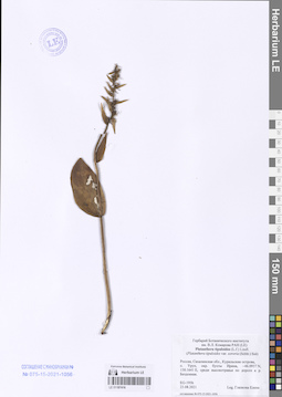 LE 01187416