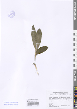 LE 01187423