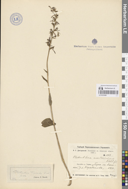 LE 01251665