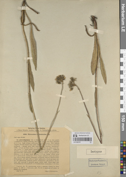 LE 01262707