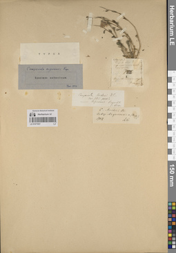 LE 01071837