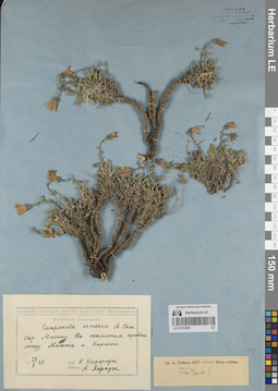 LE 01071839