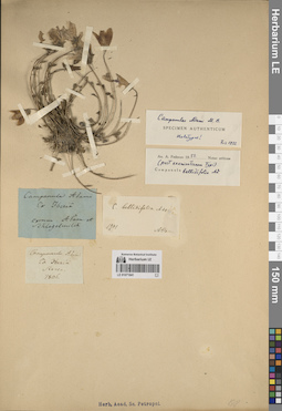 LE 01071841