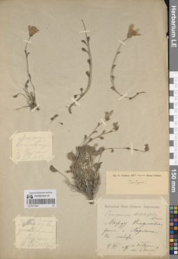 LE 01071843