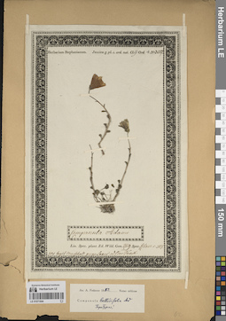 LE 01071844