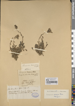 LE 01071853