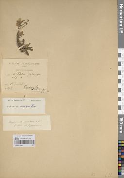 LE 01071854