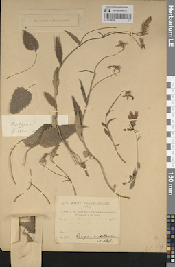 LE 01190140
