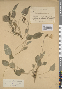 LE 01190141