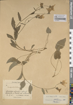 LE 01190143