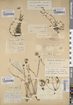 LE 01071842