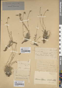 LE 01071847