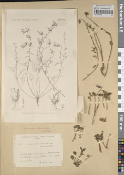 LE 01190150