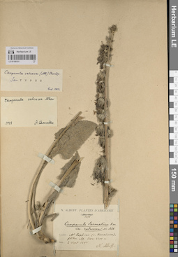 LE 01190151