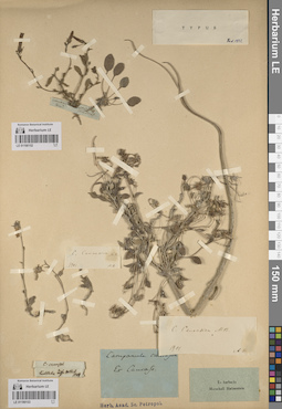 LE 01190152