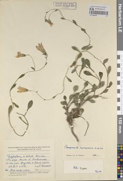 LE 01204164