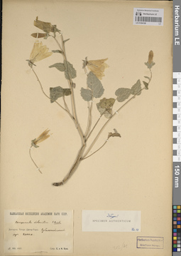 LE 01204168