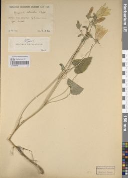LE 01204169
