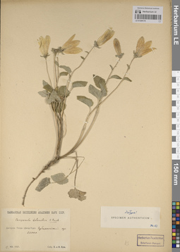 LE 01204170
