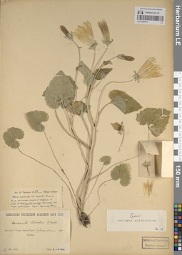 LE 01204173