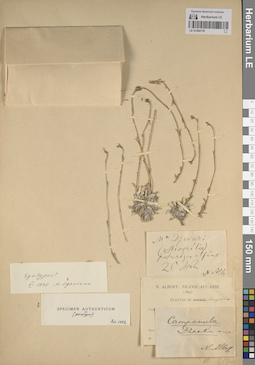LE 01204176