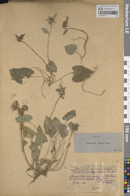 LE 01204177