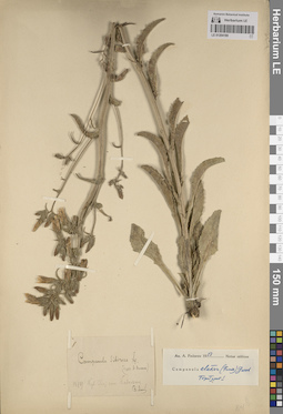 LE 01204180