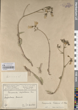 LE 01204181