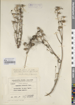 LE 01204182
