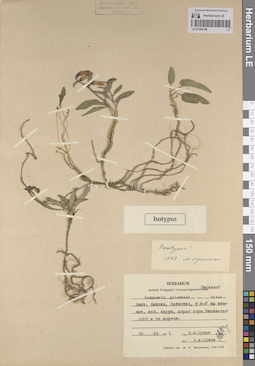 LE 01204186