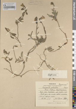 LE 01204187