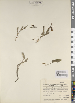 LE 01204188