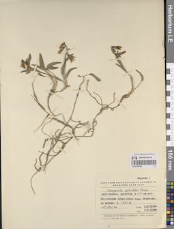 LE 01204189